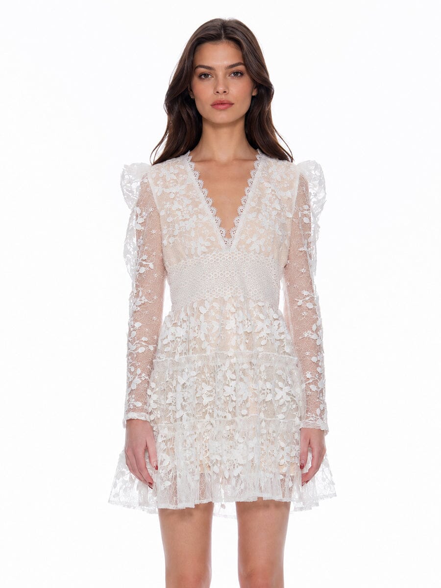 Flowery Embroidered Lace V-Neck Mesh Mini Dress - Glamourous Grace