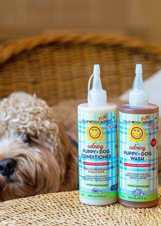 Calming™ Puppy + Dog Wash & Conditioner Set