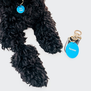 Gus & Co - Dog Tag and Keychain Set