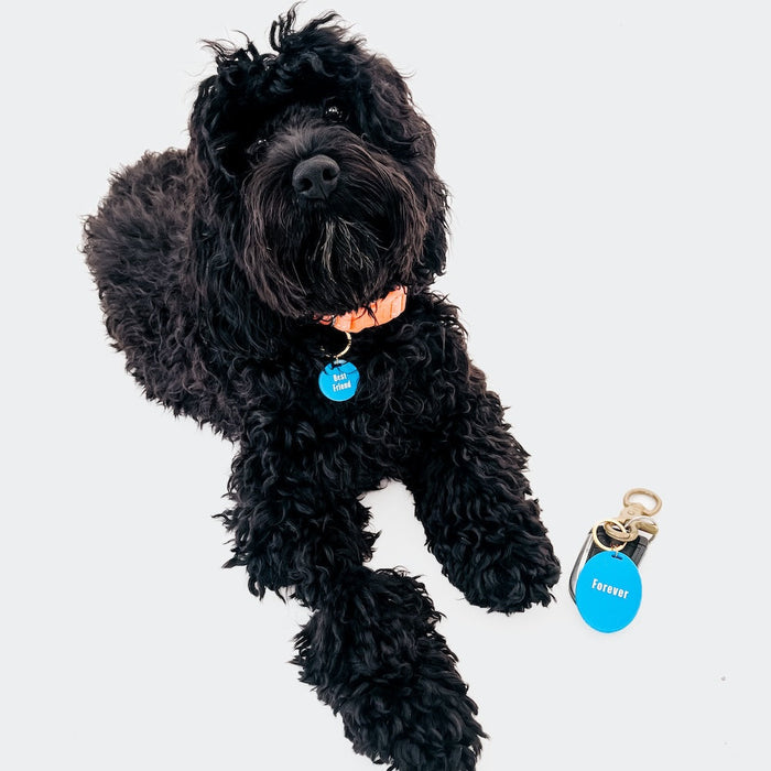 Gus & Co - Dog Tag and Keychain Set - Glamourous Grace