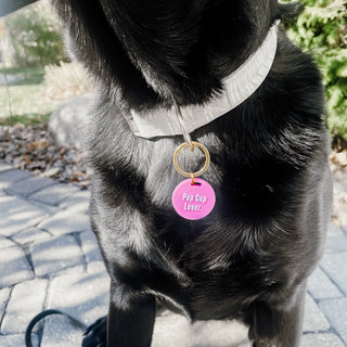 Gus & Co - Dog Tag and Keychain Set