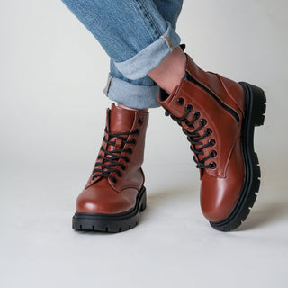 Harley | Chestnut - Glamourous Grace