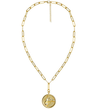 Horsehead Disc Charm Necklace - Paperclip Chain - 18k Gold Plated - Glamourous Grace