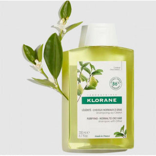 Klorane Cedar Shampoo for Normal to Oily Hair