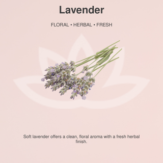Organic Whipped Body Butter for Extremely Dry Skin 8 oz.