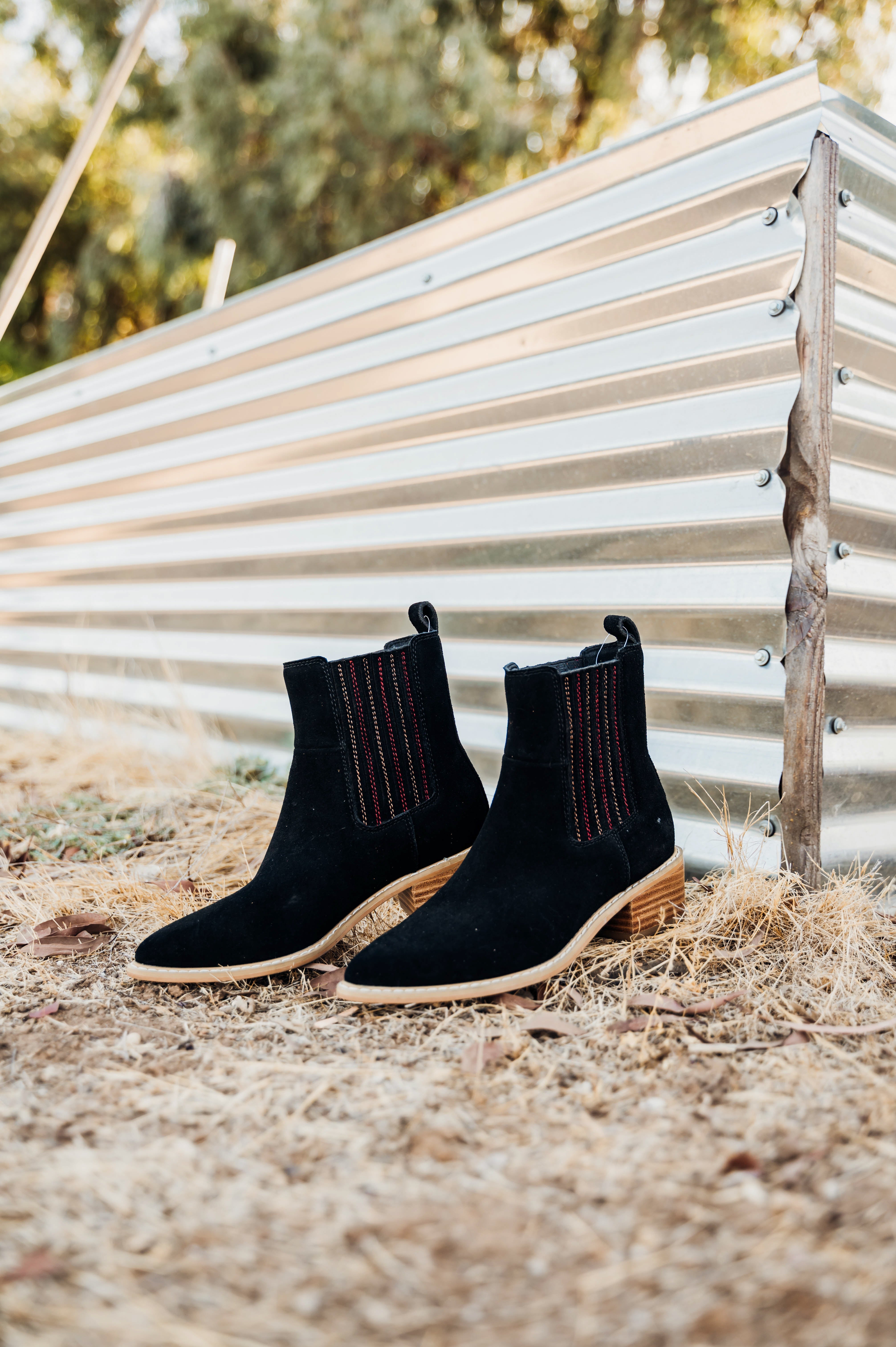 Leonor Suede Ankle Boot in Black - Glamourous Grace