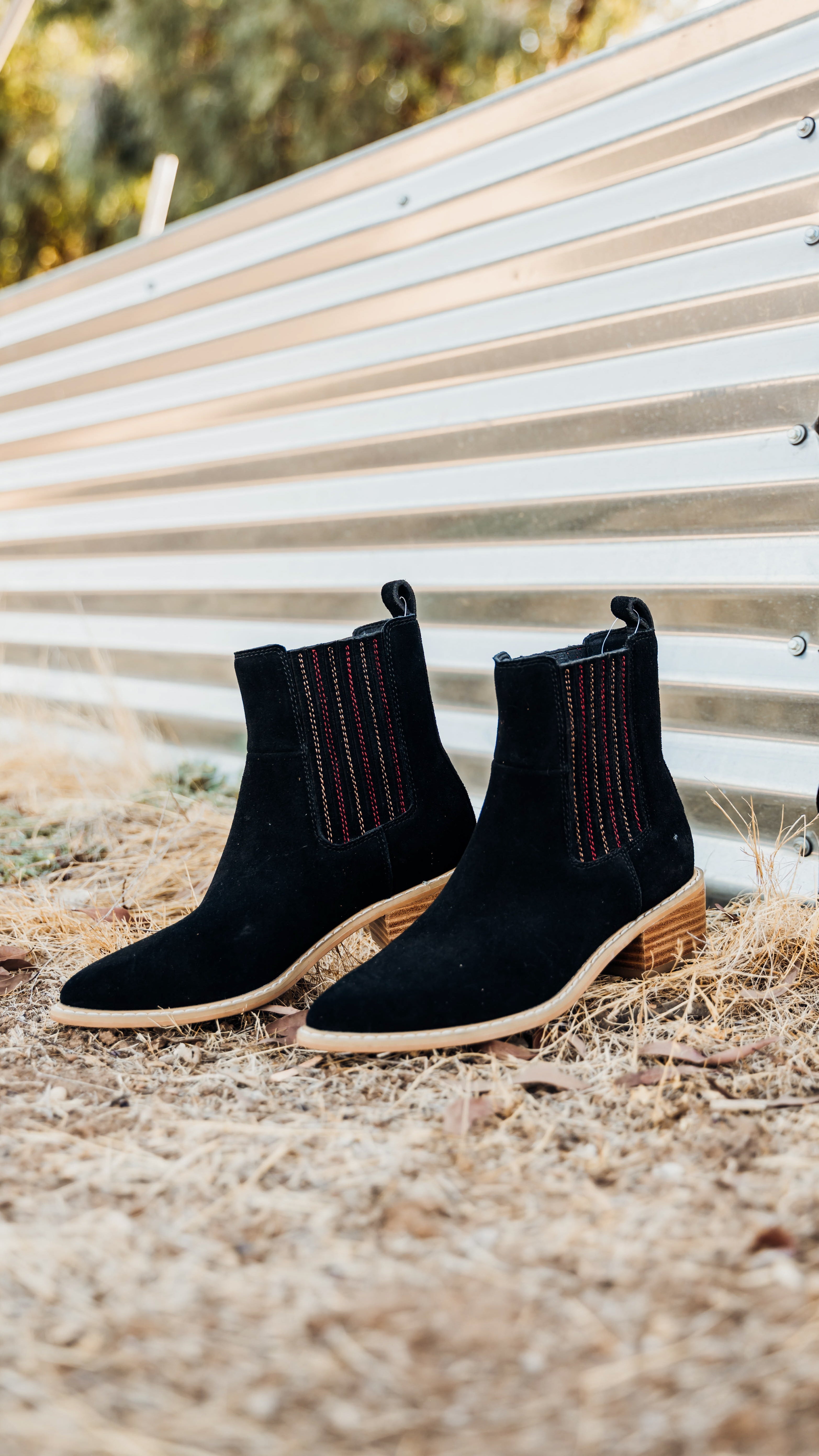 Leonor Suede Ankle Boot in Black - Glamourous Grace