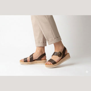 Liena Chestnut