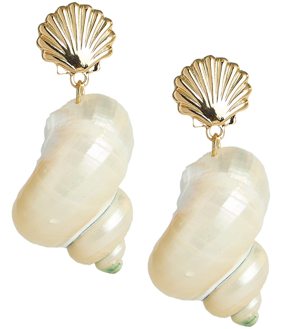 Sammie Shell Earrings - Glamourous Grace