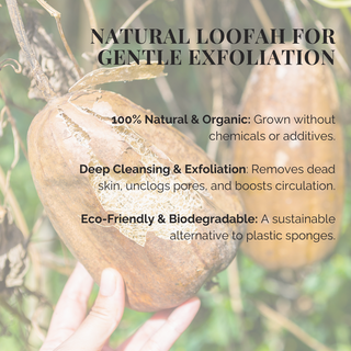 Natural Loofah Sponge