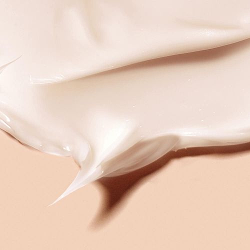 [MANYO FACTORY] Bifida Biome Concentrate Cream 50ml - Glamourous Grace