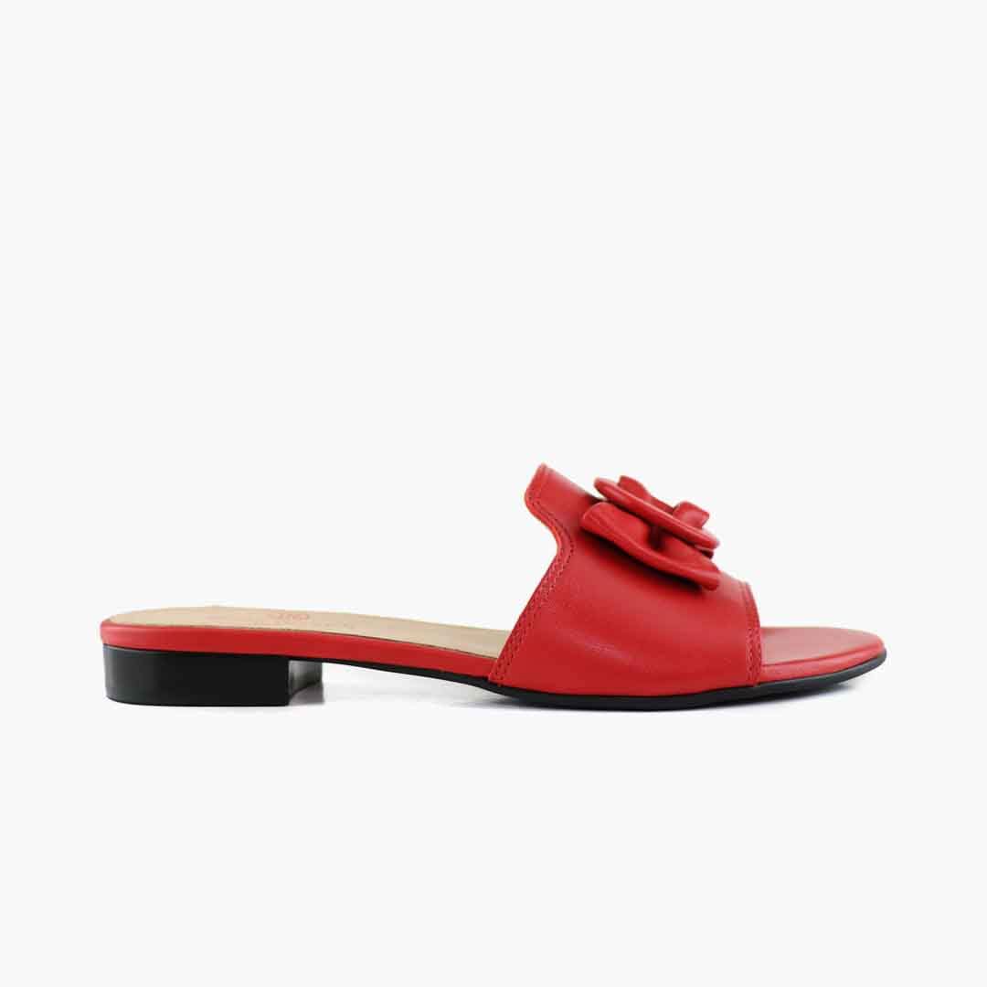 Walcott Ave, Women - Glamourous Grace