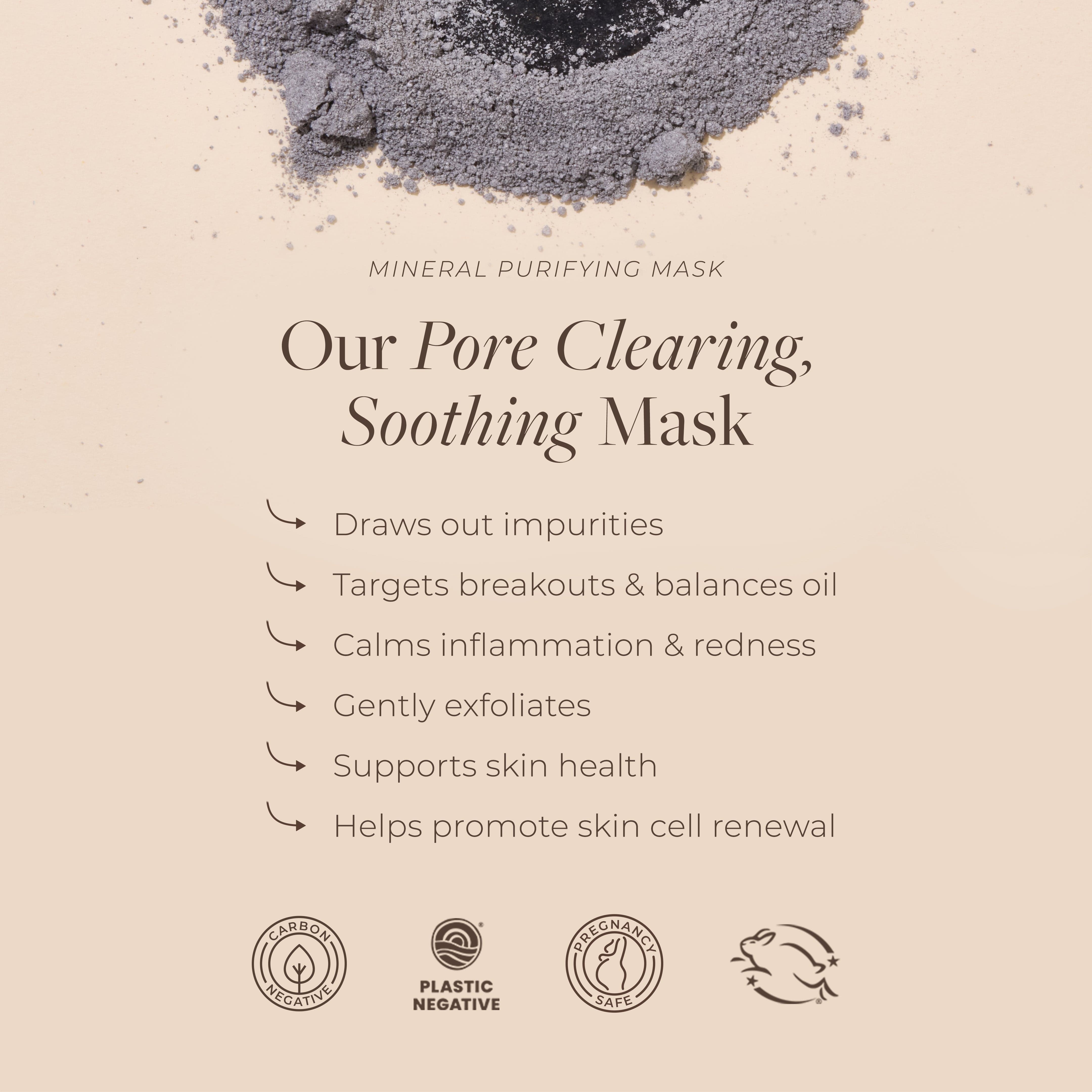 Mineral Purifying Mask (Last Chance)