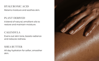 No. 3 - Brume Ardente Body Lotion