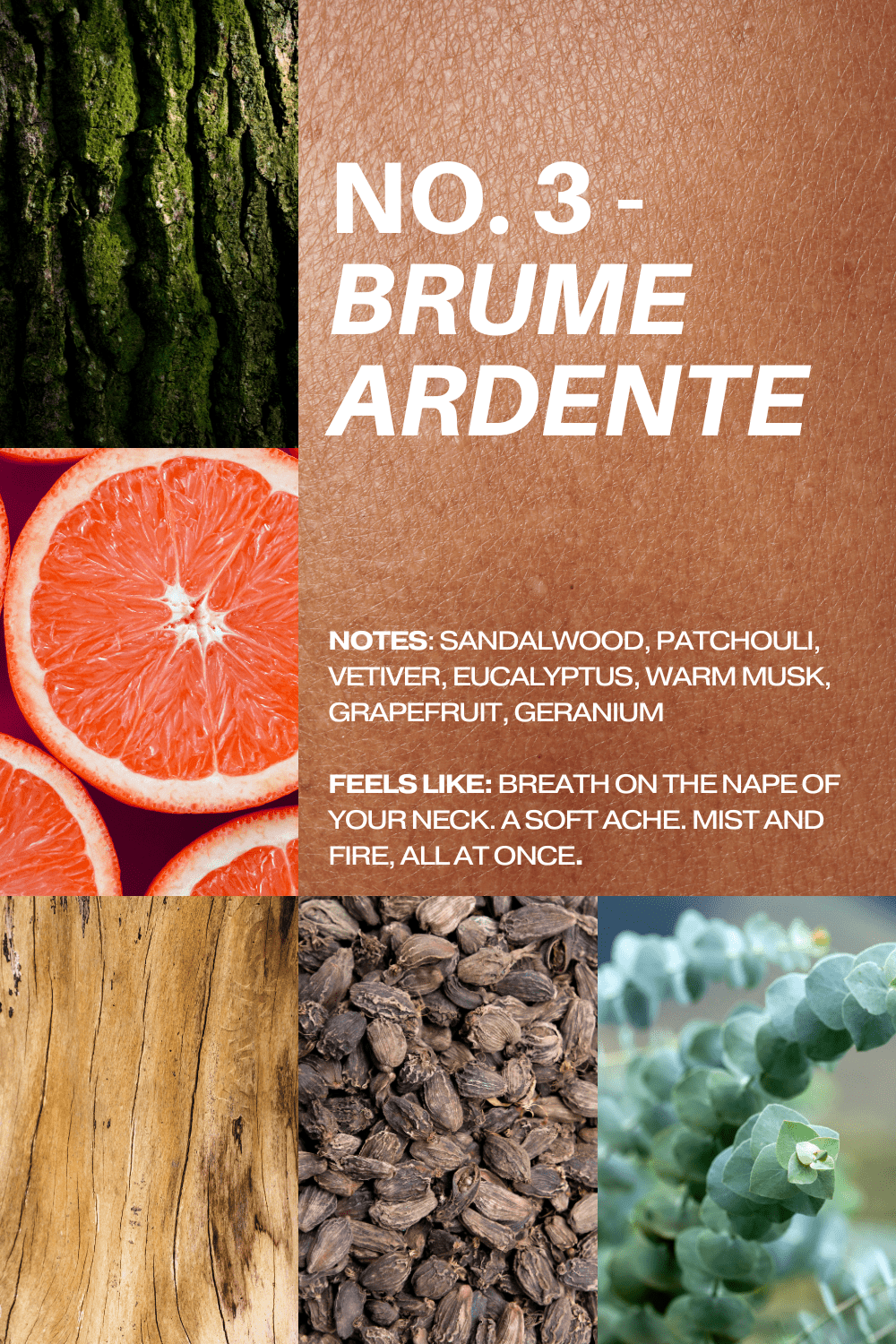 No. 3 - Brume Ardente Body Wash