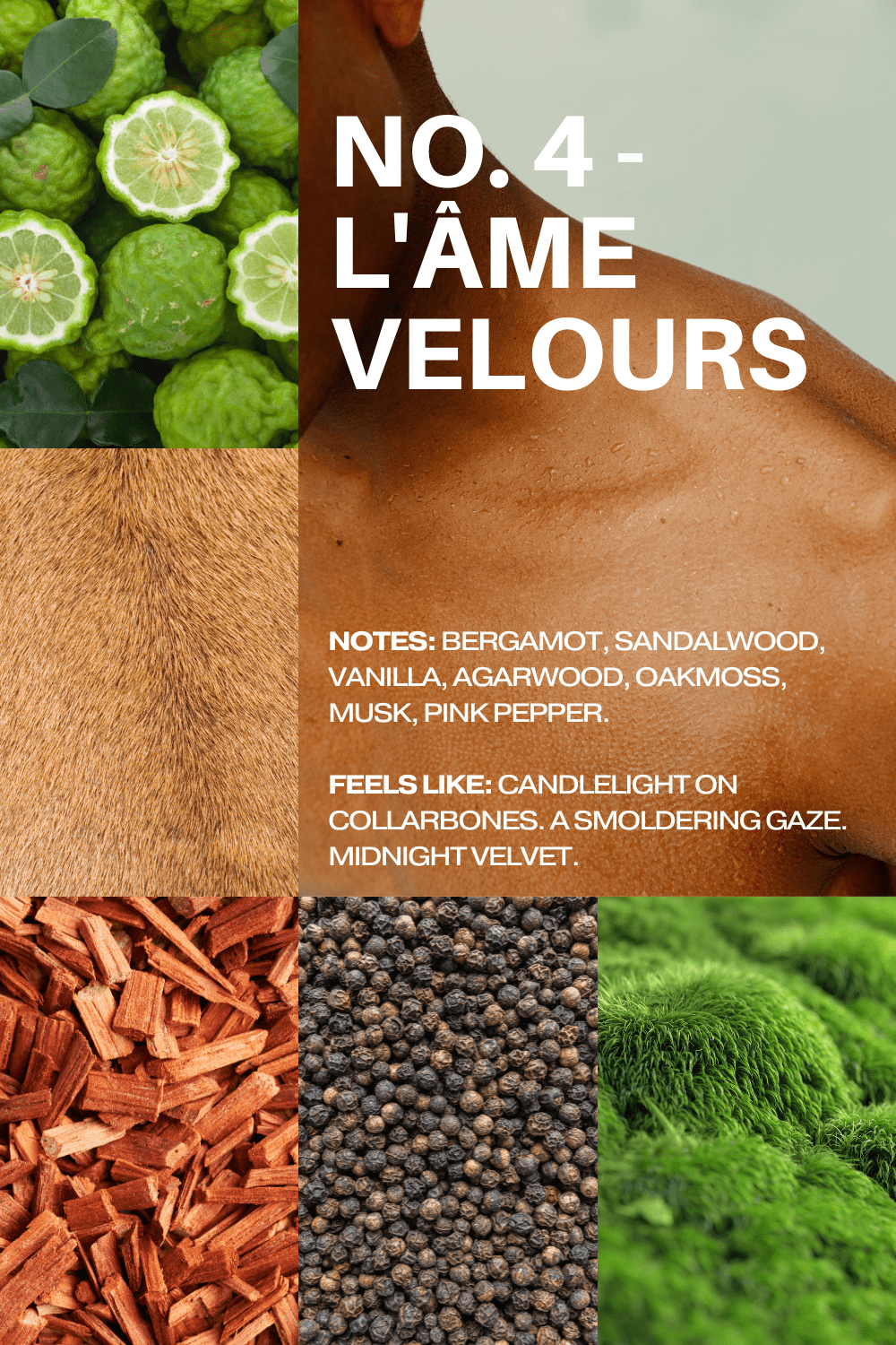 No. 4 - L'Âme Velours Body Wash - Glamourous Grace