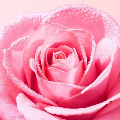 NUXE Very Rose Fresh Soothing Toning Mist