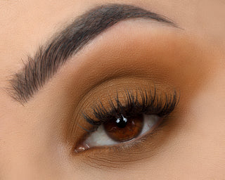 Signature Palette - Empowered