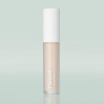 Parnell Cicamanu Skinfit Cover Concealer 5g (2colors)