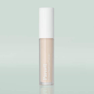 Parnell Cicamanu Skinfit Cover Concealer 5g (2colors)