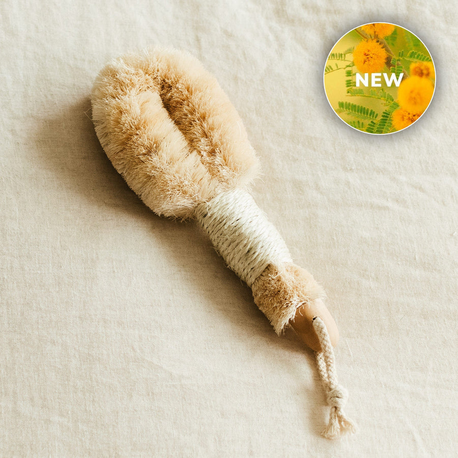 Exfoliating Dry Body Brush- Collective - Glamourous Grace