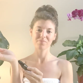 Oud Révélé (10ml)- Collective