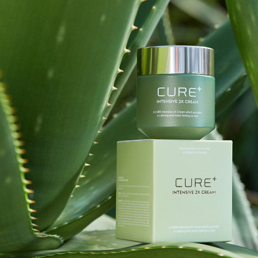 [KIM JEONG MOON Aloe] Cure Plus Intensive 2X Cream 50g - Glamourous Grace