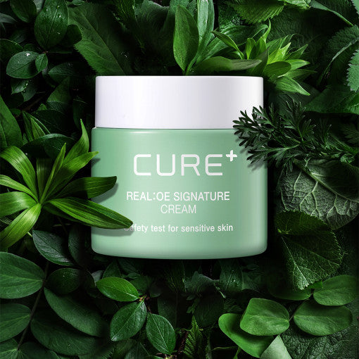 [KIM JEONG MOON Aloe] Cure Realoe Signature Cream 55g - Glamourous Grace