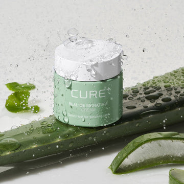 [KIM JEONG MOON Aloe] Cure Realoe Signature Cream 55g - Glamourous Grace
