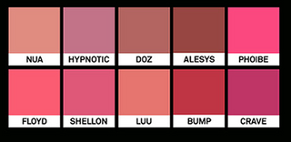 NAMING Blurry Heart Lip Tint 4.7g (10colors)