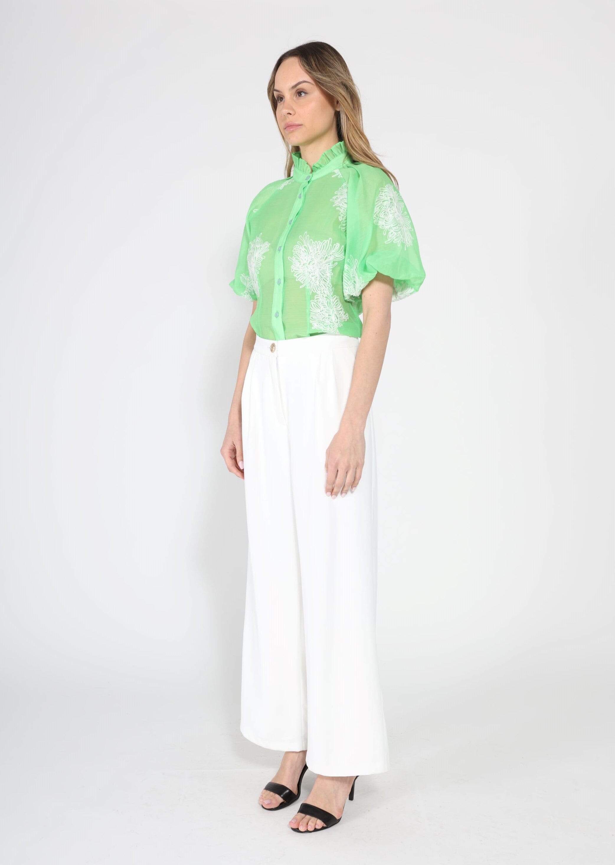 Puff sleeve embroidered organza top - Glamourous Grace