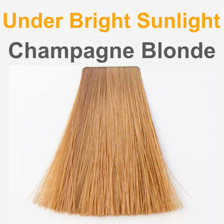 Champagne Blonde - Organic Hair Color