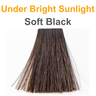 Soft Black - Organic Hair Color