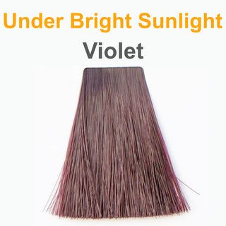 Violet  - Organic Hair Color