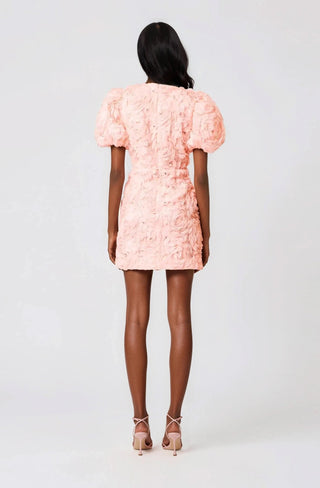 Rosella 3D Mini Dress – Pink - Glamourous Grace