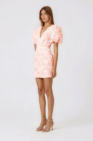 Rosella 3D Mini Dress – Pink - Glamourous Grace