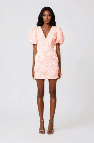 Rosella 3D Mini Dress – Pink - Glamourous Grace