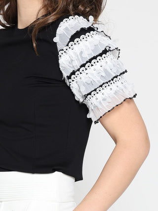 Round Neckline Tiered Short Sleeve Top