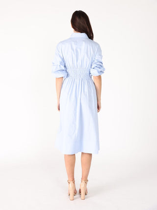 Ruched Puff Sleeve & Waist A Line Midi Dress