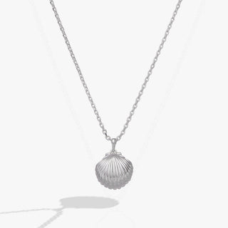 Salt + Sea 'Seashells Are Love Letters In The Sand' Seashell Locket Pendant