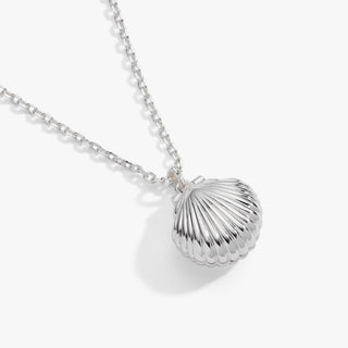 Salt + Sea 'Seashells Are Love Letters In The Sand' Seashell Locket Pendant