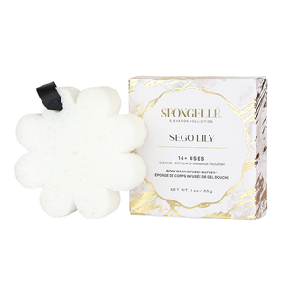 Sego Lily | Elevation Boxed Flower - Glamourous Grace