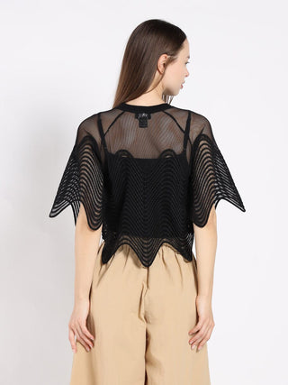 Sheer Crew Neck Mesh Crop Top with Side Zipper
