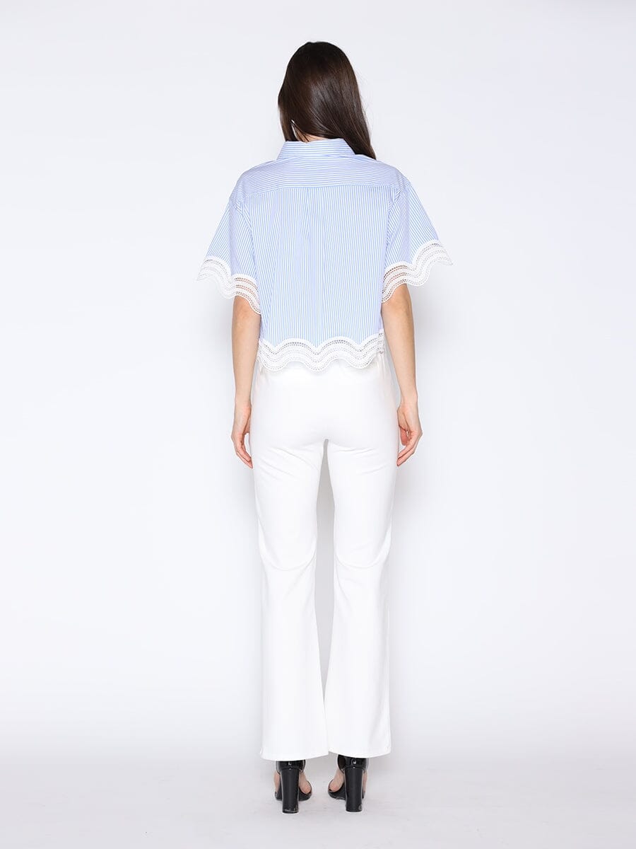 Short Sleeve Lace Trim Stripe Button Down Shirt - Glamourous Grace