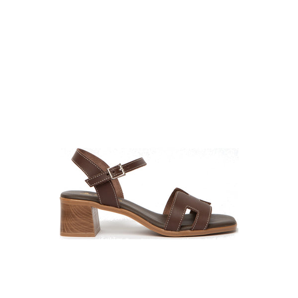 Siena Chestnut - Glamourous Grace