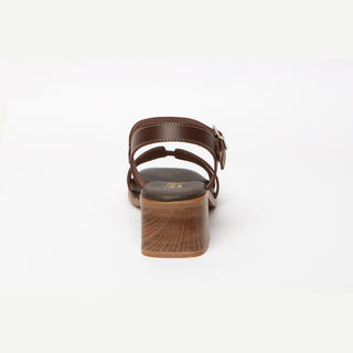 Siena Chestnut