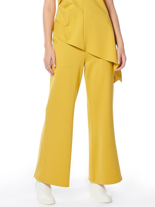 Spanx Wide Leg Pants With Elastic Back