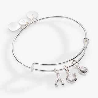 Love and Luck Multi-Charm Bangle