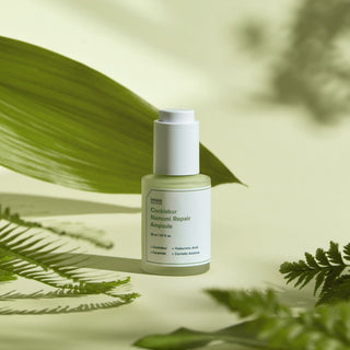 SUNGBOON EDITOR Cocklebur Namomi Repair Ampoule 30ml