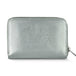 Metallic Silver